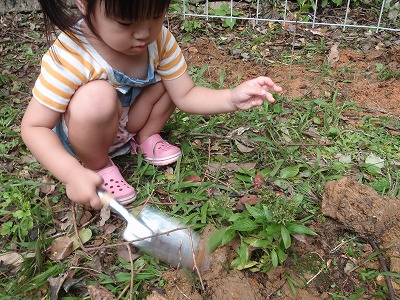 c0180460_1175428.jpg
