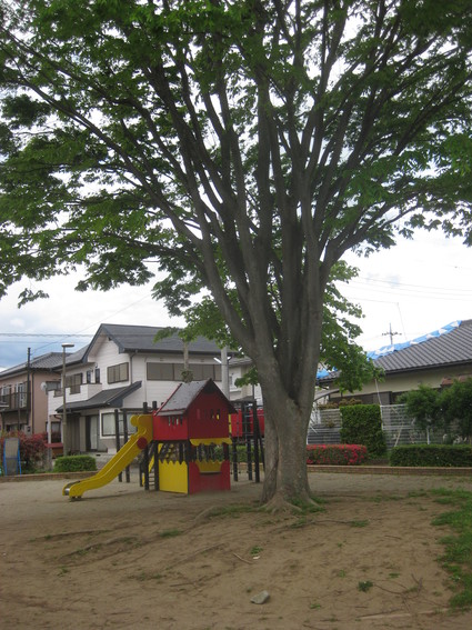 企画「大田原をもっと知ろう!」・・・その6、新富町②。_b0063162_2225415.jpg