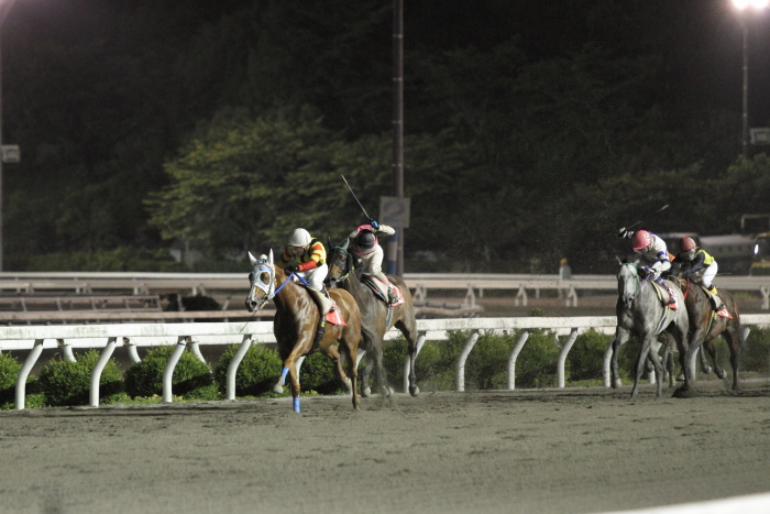 2011年6月4日（土） 高知競馬 10R 室戸びわ特別 B-1選抜馬_a0077663_7364894.jpg