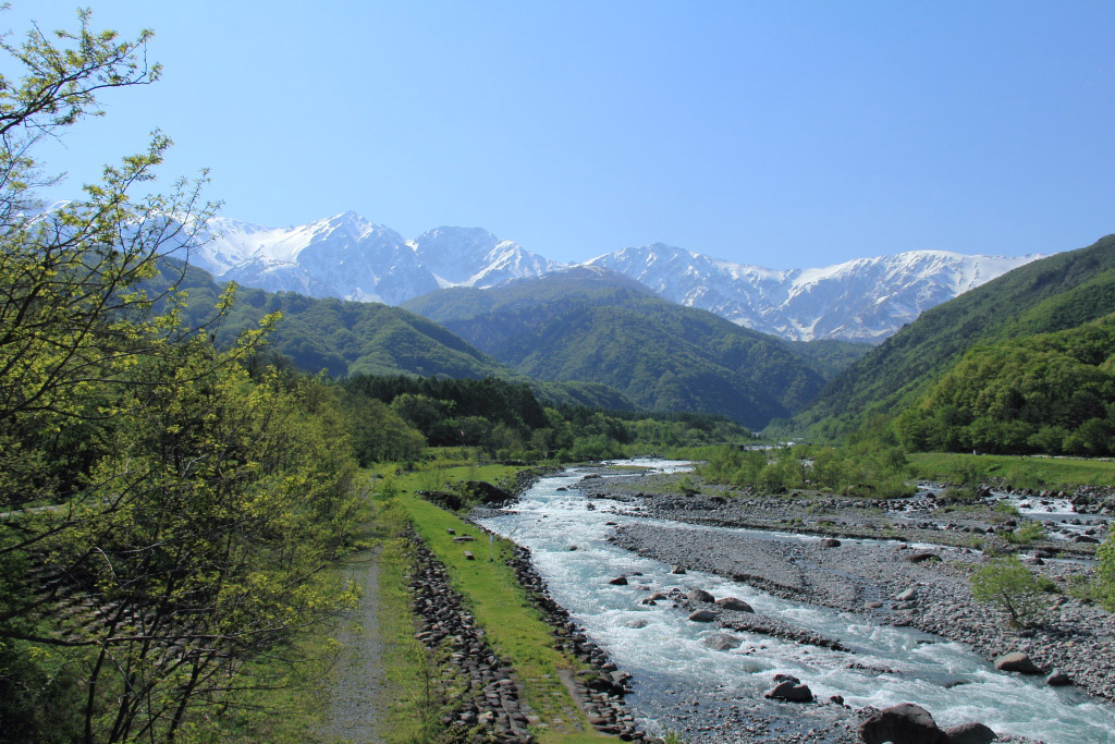 　　白馬村で遊ぶ　再度白馬大橋へ_f0129465_5323519.jpg