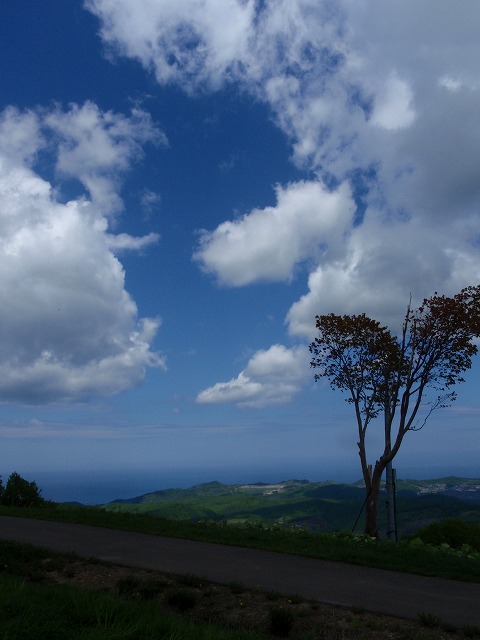 b0176770_923214.jpg