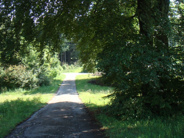 d0116376_3223837.jpg