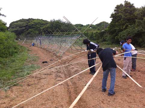 衣笠農園　「衣笠ゴーヤエコトンネル」　完成！　ゴーヤの苗も植えました！_b0120982_432432.jpg