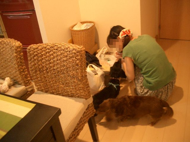 d0227686_0185327.jpg