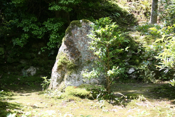 京都散策記　その1　滝口寺_b0118987_1833248.jpg