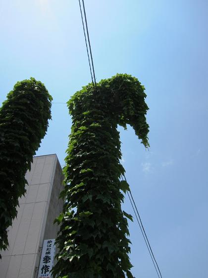 f0224492_16266.jpg