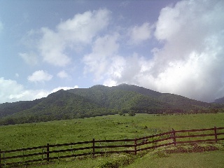 e0175702_1823793.jpg