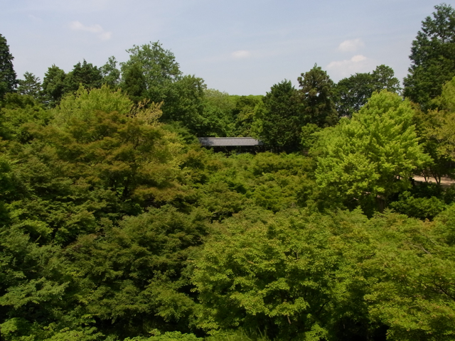 f0179202_8493013.jpg