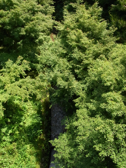 f0179202_8504054.jpg