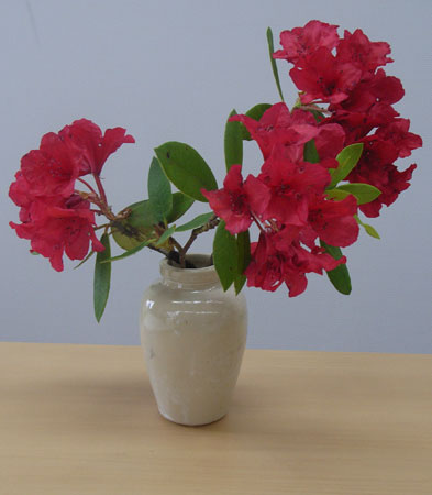 アトリエ蒼通信203 2011年6月7日(火 ) _b0129807_1758450.jpg