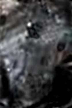 e0103408_00423.jpg