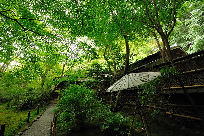 旬緑の祇王寺 其の一_f0032011_20174840.jpg