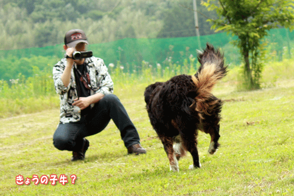 f0203423_18293371.gif