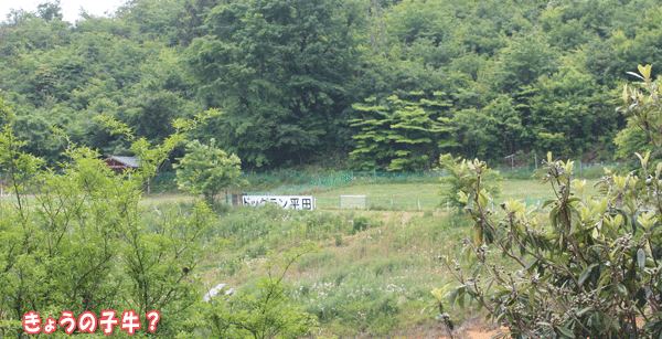 f0203423_18331491.gif