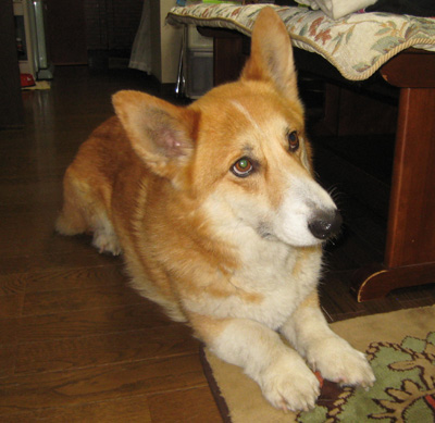e0077528_20212323.jpg