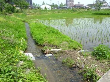 b0169238_2151681.jpg