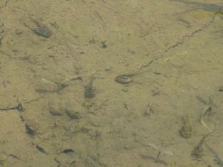 b0169238_2154454.jpg