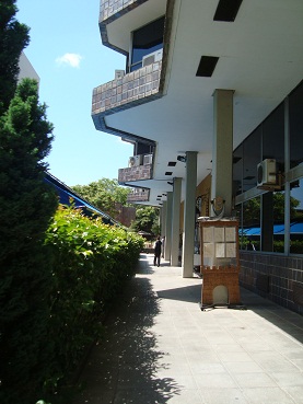 e0120938_5355344.jpg
