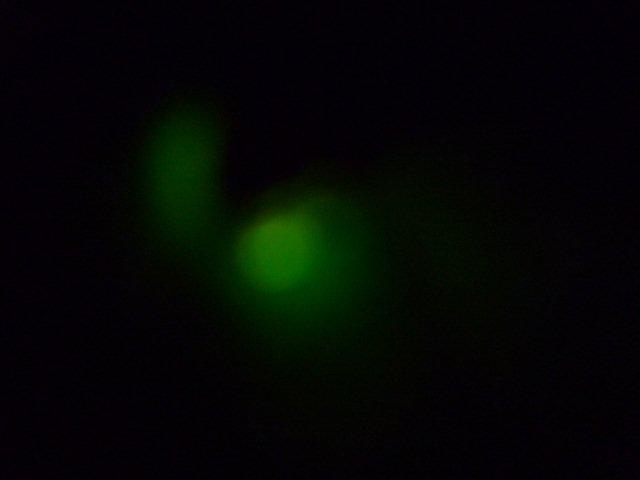 c0174644_833914.jpg