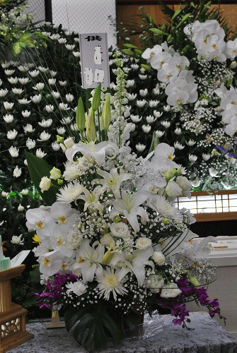 e0159050_058202.gif