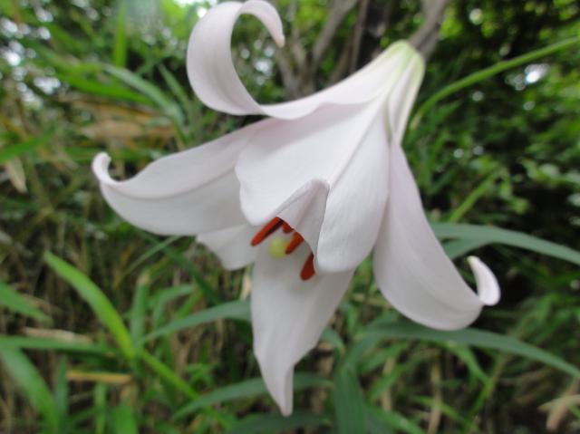c0108460_19233712.jpg