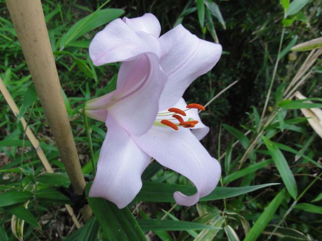 c0108460_19282050.jpg