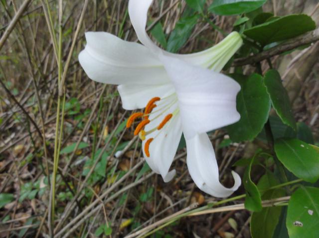 c0108460_19341016.jpg