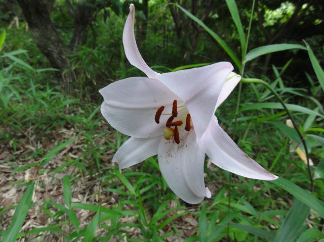 c0108460_19361544.jpg