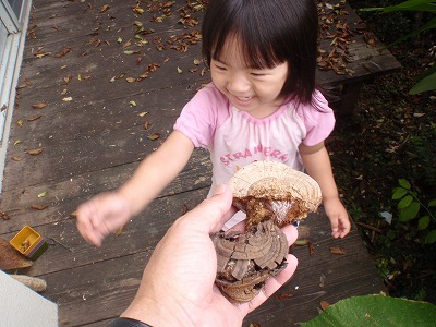 c0180460_1372696.jpg