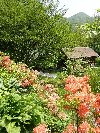 f0035962_14452915.jpg