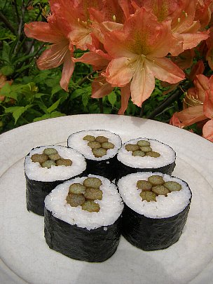 f0035962_144607.jpg