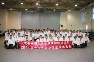 「中華民国100年青年盃合気道演武大会」と「有難う台湾」_f0019563_15262257.jpg