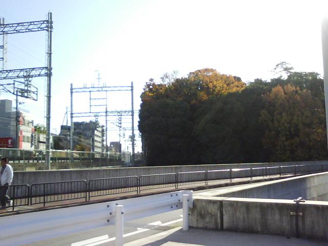 f0150767_13365962.jpg
