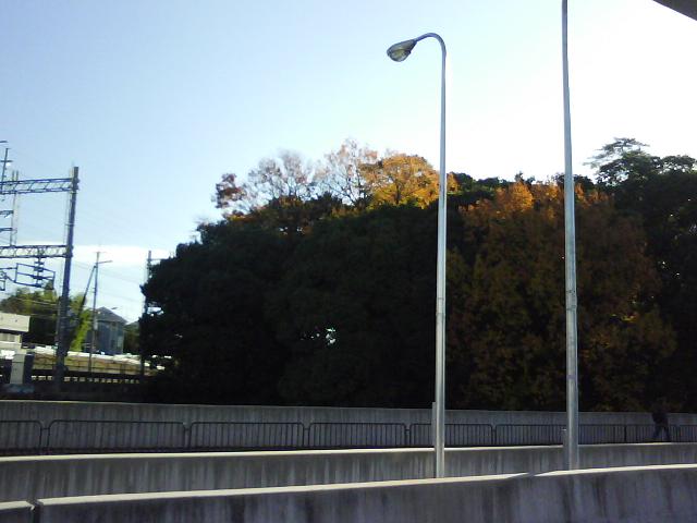 f0150767_1337689.jpg