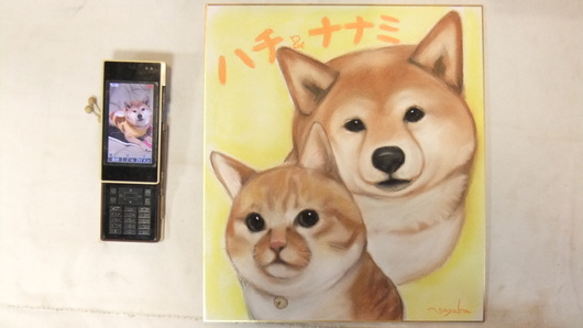 6月のわんにゃんイベント日程_b0172370_14315484.jpg