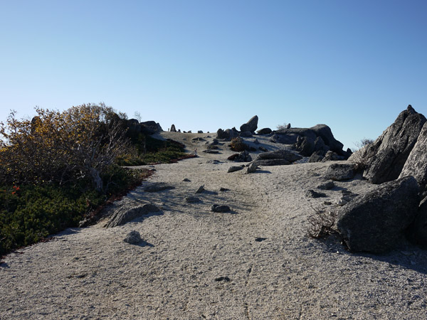 a0207672_15255727.jpg