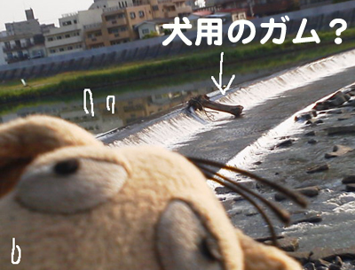 c0158573_15213465.jpg