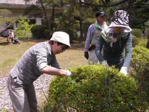 平成２３年度　第１回県民の森剪定教室_f0140773_16391511.jpg