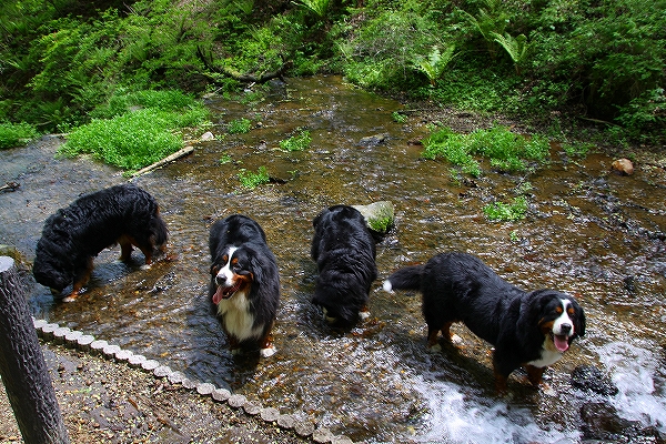c0149178_18355890.jpg