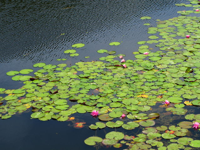 a0182281_1285087.jpg