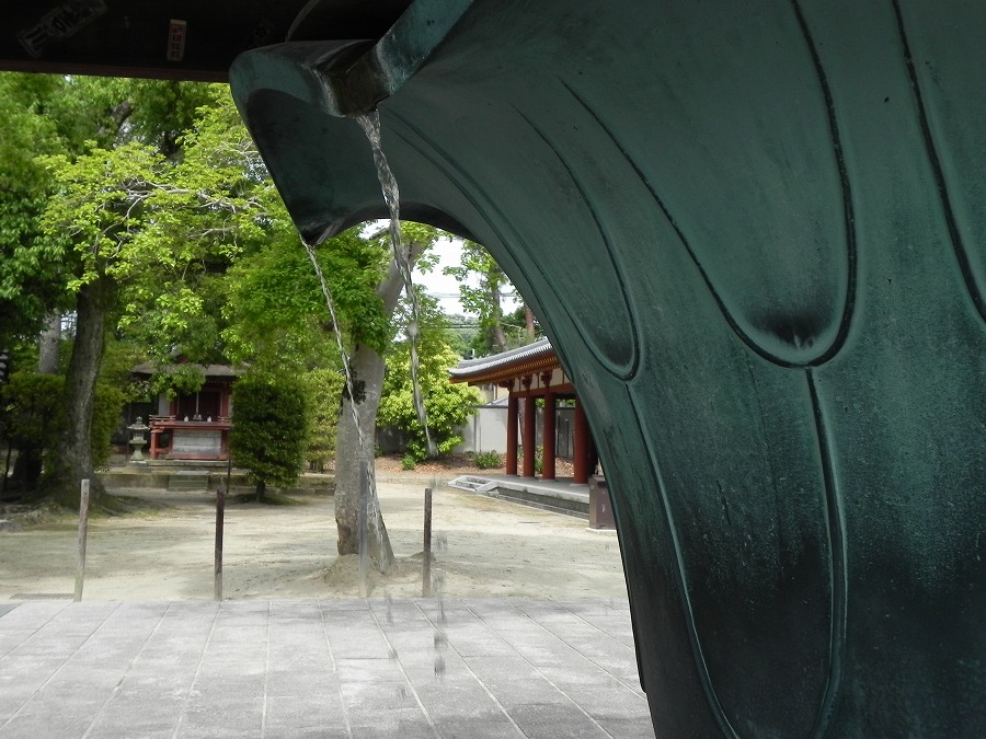 奈良　薬師寺_c0187781_2372546.jpg