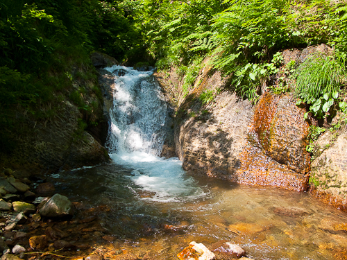 c0203681_103266.jpg