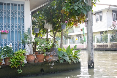f0046982_141762.jpg