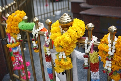 f0046982_18139.jpg