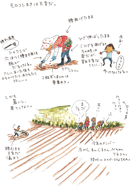 f0236291_1347304.gif