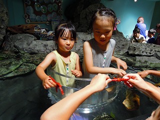 f0176194_934352.jpg