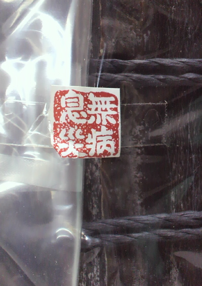 無病息災_f0232994_3264226.jpg