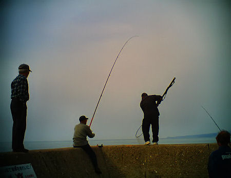 c0165101_17504557.jpg
