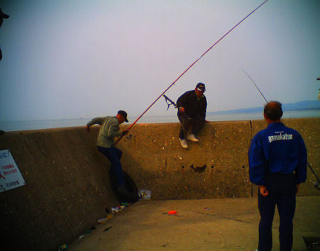 c0165101_17505749.jpg