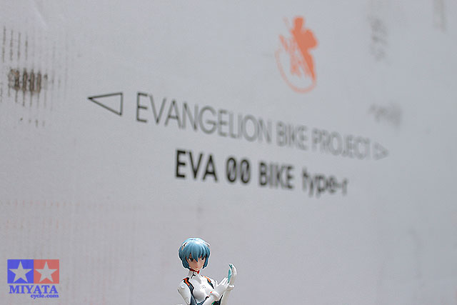 エヴァ_e0126901_4152088.jpg
